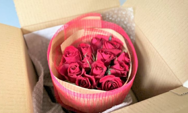 値段が明記されたものはお入れしておりません