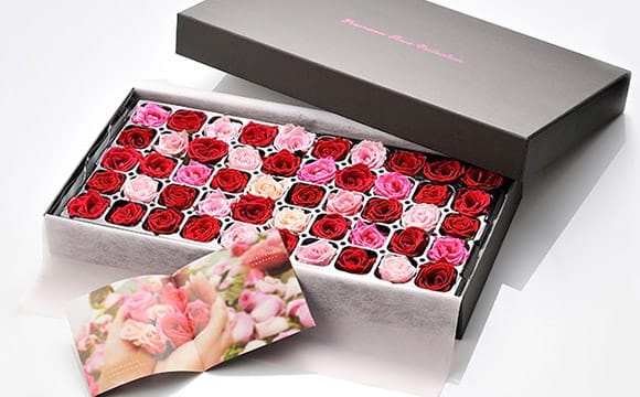 Premium Rose Collection