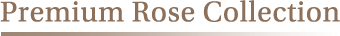 Premium Rose Collection