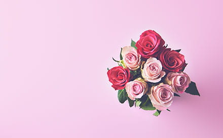 誕生日のプレゼントとして