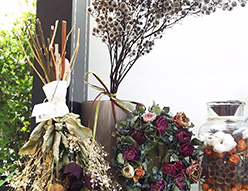 ドライフラワー