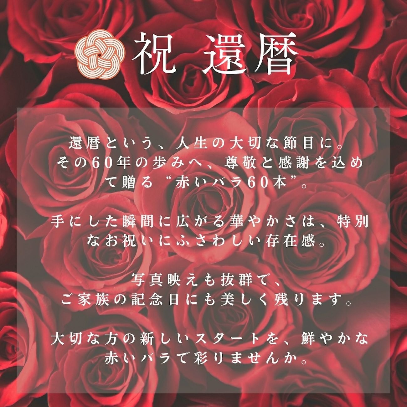 バラの花束 【RED】産地厳選 赤薔薇60本還暦におすすめ | リンクフロー