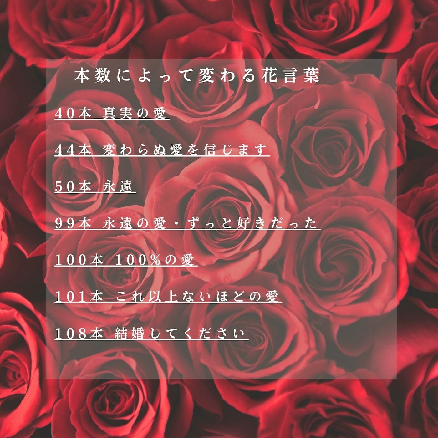 バラの花束 【RED】産地厳選 赤薔薇31～108本（本数をお選びください