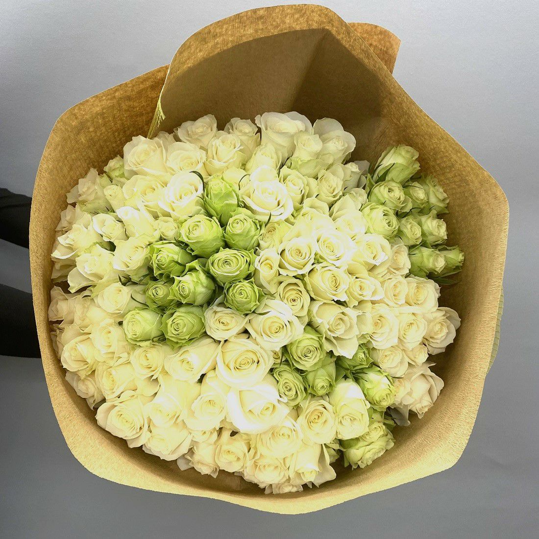バラの花束 産地厳選 白系薔薇31～108本（本数をお選びください