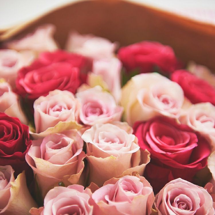 バラの花束 産地厳選 ピンク系薔薇60本 | リンクフローリスト | バラの