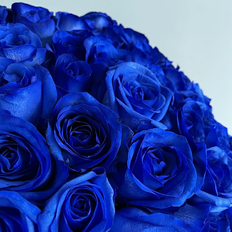 青いバラの花束 ダズンブーケプレミアムローズ 青薔薇12本の青いバラ