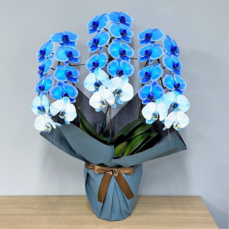 ◾️ヘレンド◾️フラワーブルーリボン/エレガントウォールクロック/定価12万円 リボン付きスタンド花(2段) | SPIRA PLUS