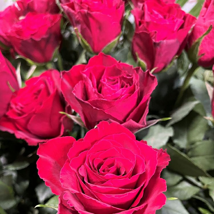 jpgoodbuy専用　ukiyo様　布花　薔薇８点+2点セットおまとめ売り専売 スタンドフラワー1段 シングル赤薔薇 ローズタイプ※東京23区限定