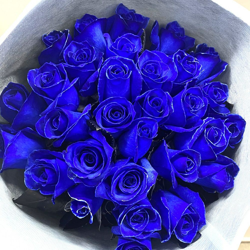 青いバラの花束プレミアムローズ 青薔薇30本の青いバラ花束花言葉「夢