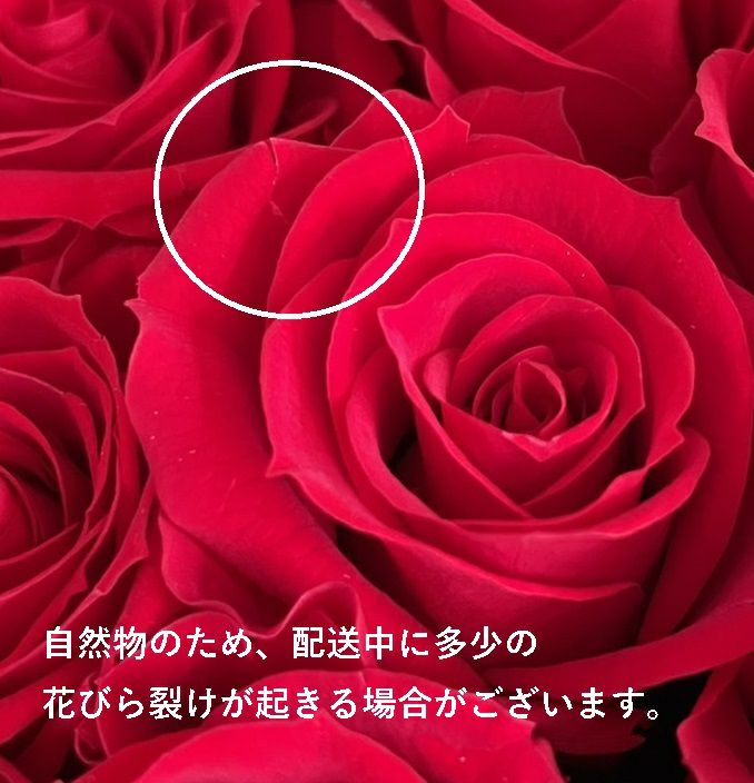 プリザーブドフラワー赤いバラエターナルローズBOX S | リンクフロー