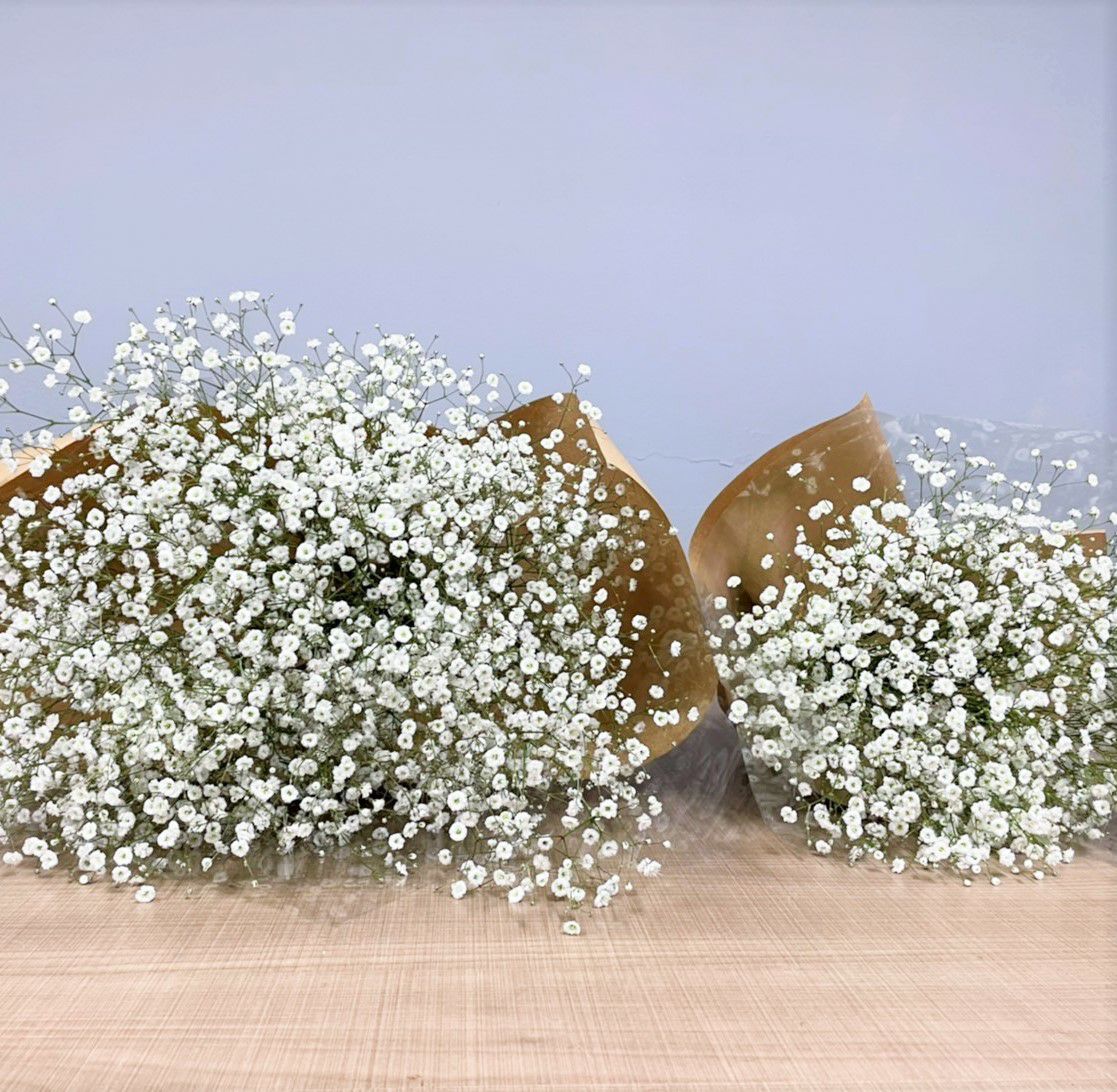 カスミソウの花束ピュアホワイトブーケMサイズ | リンクフローリスト